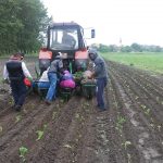 13346711_511213002417845_3651602775584887123_n