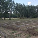 13434820_511213365751142_538066868925578267_n